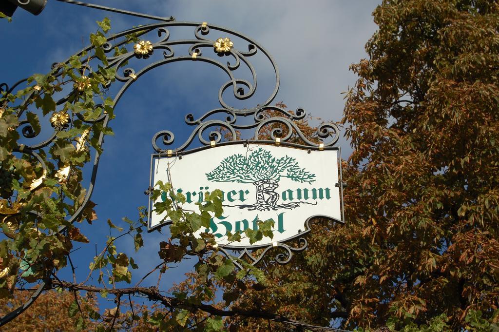 Hotel Gruener Baum Bretzenheim エクステリア 写真