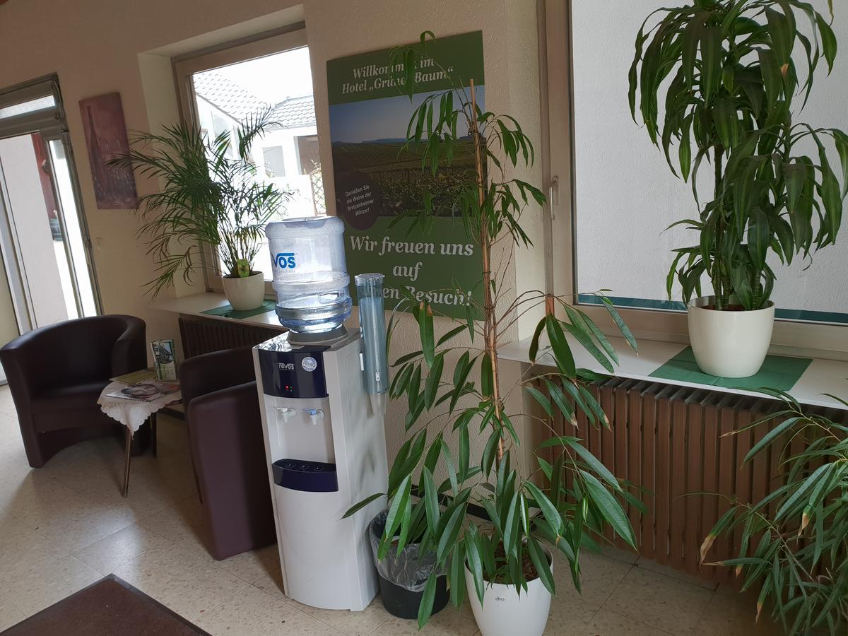 Hotel Gruener Baum Bretzenheim エクステリア 写真