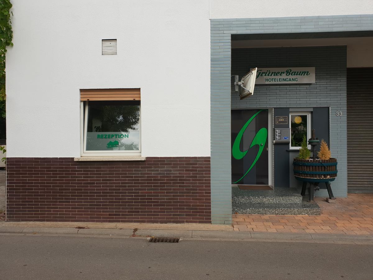 Hotel Gruener Baum Bretzenheim エクステリア 写真